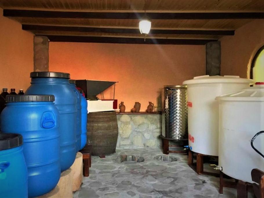 Guesthouse Lilia &Wine Celler Tel Avi Exterior foto